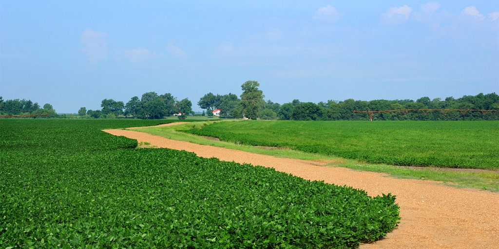 House GOP targets Biden agriculture policies it says could put small farms out of business - Vimarsana News