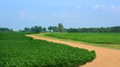 Farm scene shows vivid green crops and irrigatiion equipment.  House and barn are white with red roof. - Fox Business News