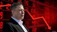 Elon Musk's Tesla stock sale not a big deal, analyst says