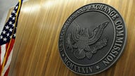 SEC delays certain assets from enforcement actions under new disclosure rule