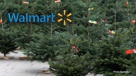 Walmart delivering live Christmas trees, installing lights amid coronavirus in a different holiday season