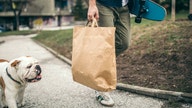 NJ governor signs strict single-use paper, plastic bag ban into law