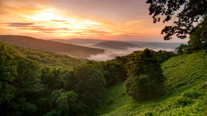 [Image: Northwest-Arkansas-iStock-1.jpg?ve=1&tl=1]