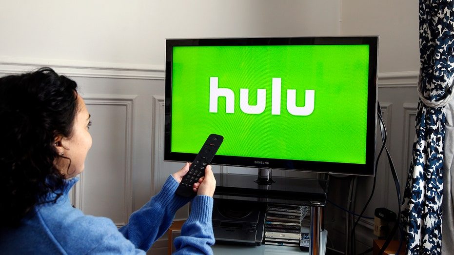 Hulu logo on screen