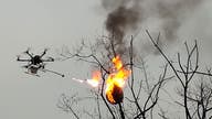 Flamethrower drone incinerates wasp nests in China