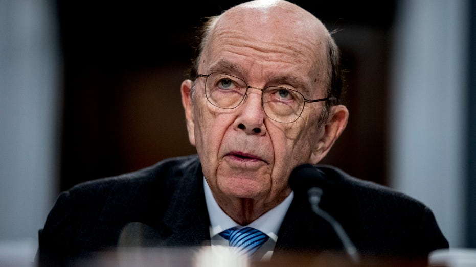 On this Tuesday, March 10, 2020, a file is a file, and the Minister of Commerce Wilber Ross is witnessing before the sub -committee for the credits of the House of Representatives in Capitol Hill, in Washington