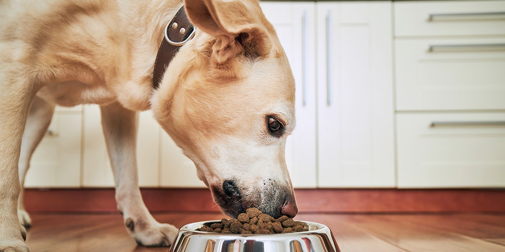 Purina dispels online rumors that its pet food is sickening dogs