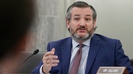 Sen. Ted Cruz rips Mayorkas over border crisis: 'Literally the largest human trafficker on the face of Earth'