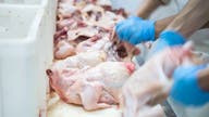 Pilgrim's Pride executives, Koch Foods charged with price fixing in broiler chicken probe