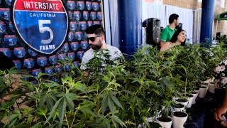 Schumer intensifies push for federal pot legalization as Dems control Congress, White House