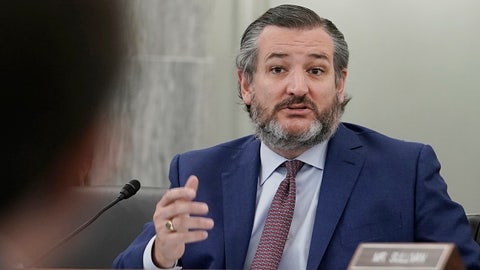 Cruz blasts Dems for putting 'crazy Uncle Bernie' in charge of Senate Budget Committee