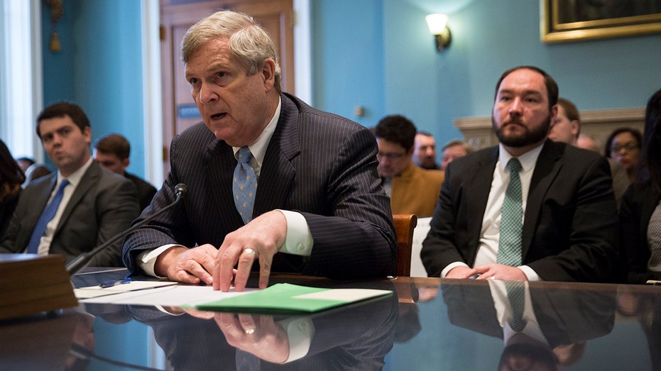 WASHINGTON, DC - FEBRUARY 24: U.S. Secretary of Agriculture Tom Vilsack testifies during a House Committee on Agriculture hearing regarding the state of the rural economy, on Capitol Hill, February 24, 2016 in Washington, DC. On Tuesday, Vilsack stated he was confident that Congress will pass the Trans-Pacific Partnership, a multi-nation trade agreement between the United States and 11 other countries. (Drew Angerer/Getty Images)