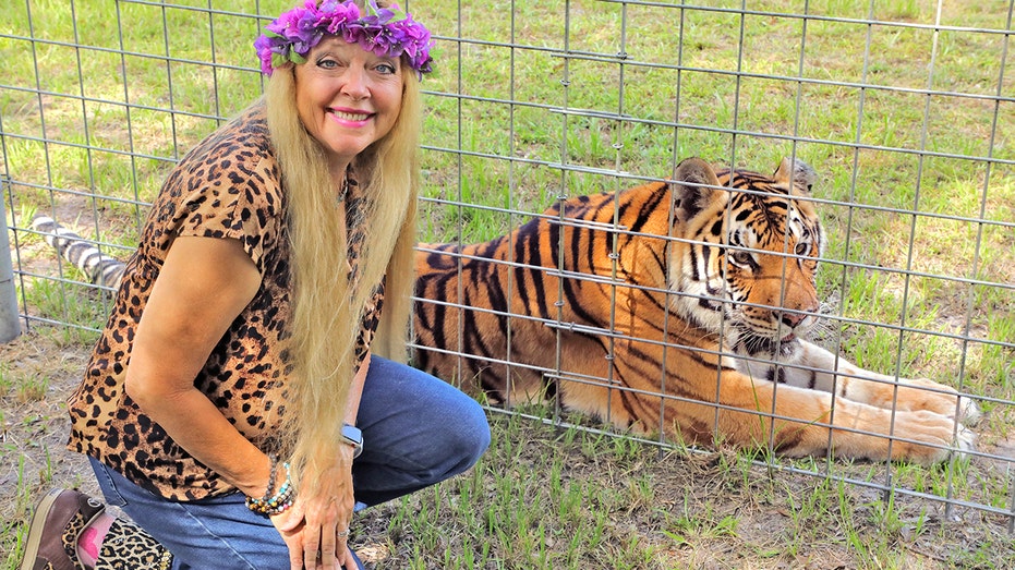  Tiger King s Carole Baskin says her Big Cat Rescue has lost over a 