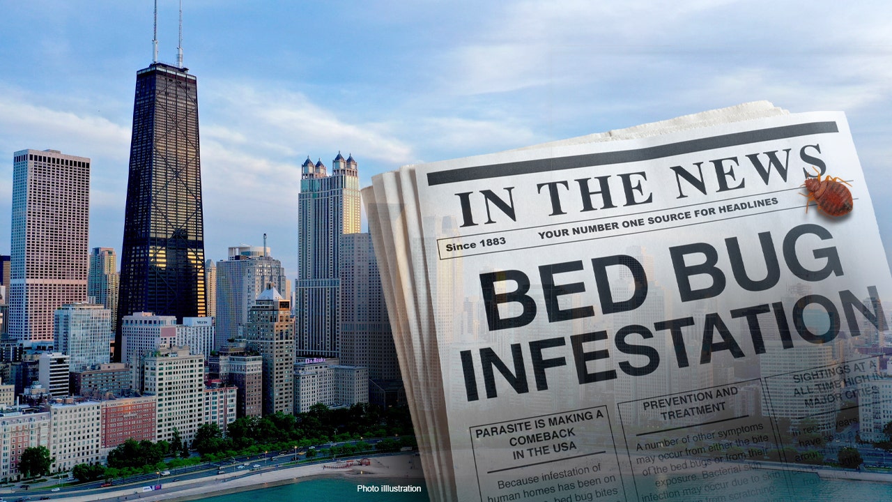 This US city has the most bed bugs Business News
