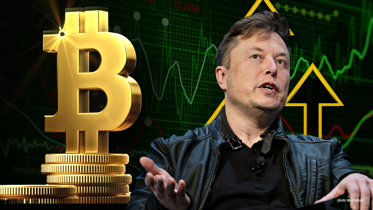 Elon Musk backs Bitcoin, talks about crypto-future