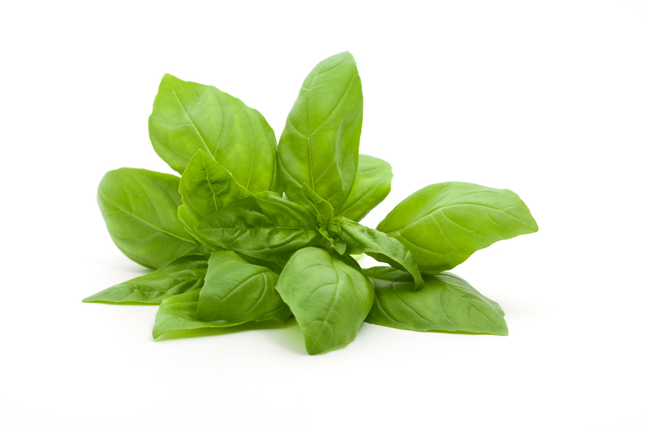Fresh basil recalled over cyclospora concerns, FDA says Fox Business