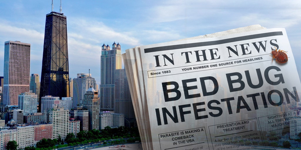 Traveling in 2022? These US cities have the most bed bugs - Vimarsana News