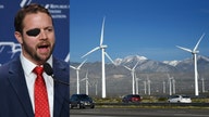 Crenshaw on wind turbines: Texas learned 'too many renewable energy lessons from California'