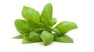Fresh basil recalled over cyclospora concerns, FDA says