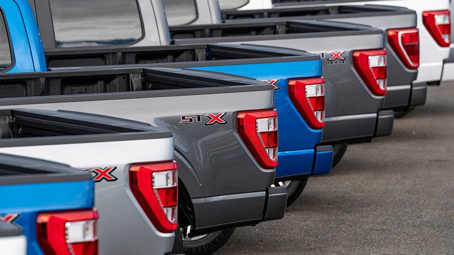 Ford F-150s lined up at dealership
