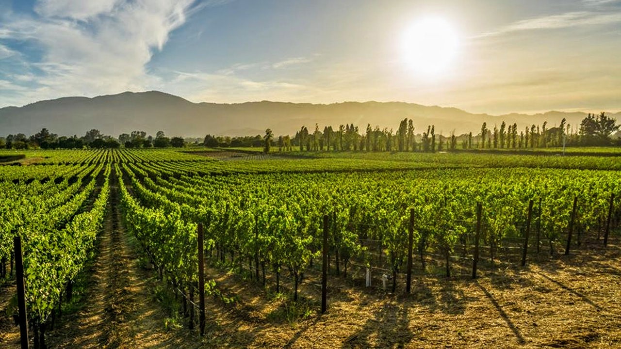 California winery offering $10G per month, 1 year of rent-free living