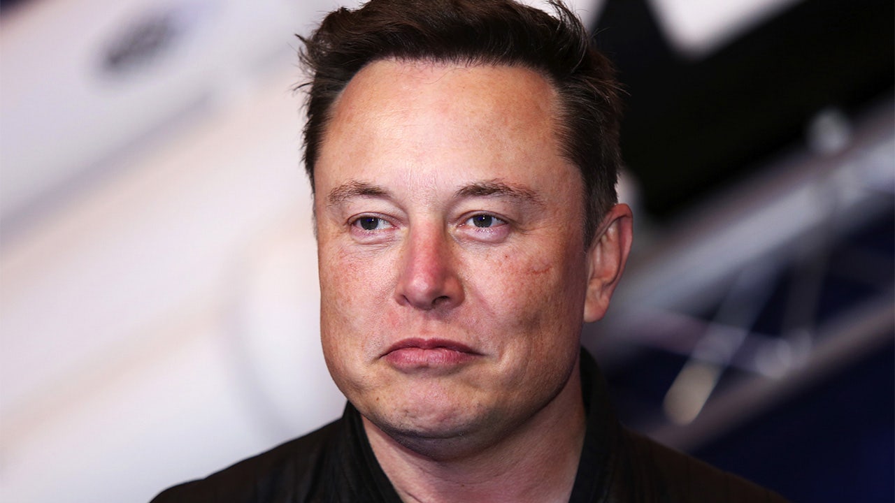 How Much Is Elon Musk Worth - DRAGON