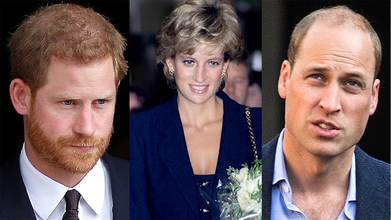 How Much Did Princess Diana Leave Behind For Prince Harry And Prince