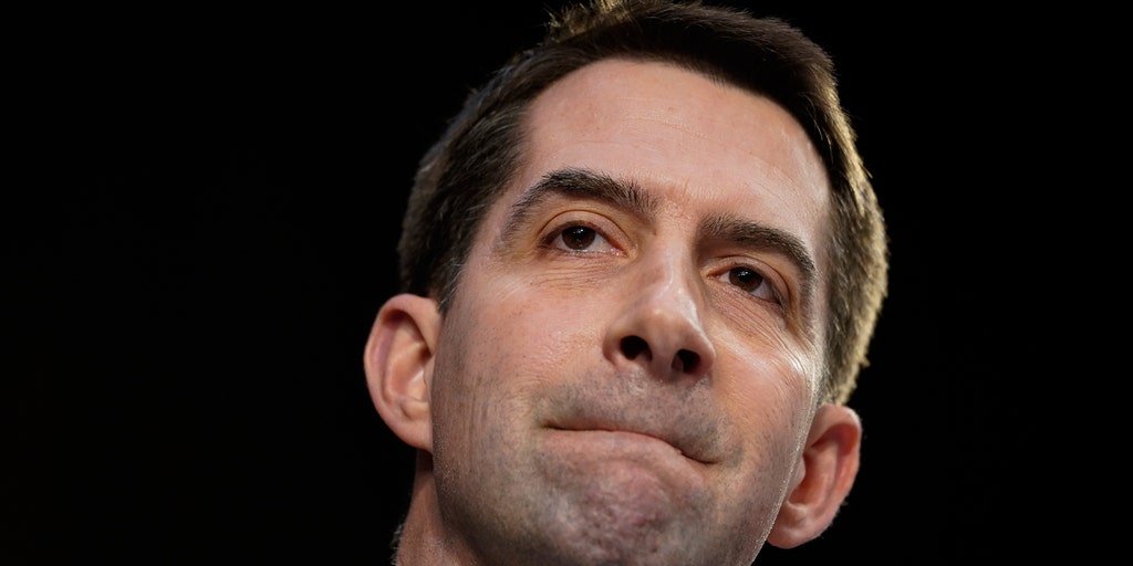 Tom Cotton grills Lockheed Martin over reported 'White men's caucus' training - Vimarsana News