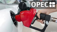 OPEC goes unchecked as gas prices near $3 per gallon