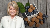 Martha Stewart says CBD for pets will be a $10B industry in 2 years