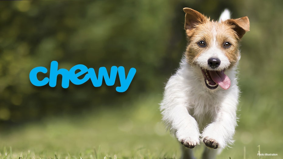 Illustration d'un chien et du logo Chewy