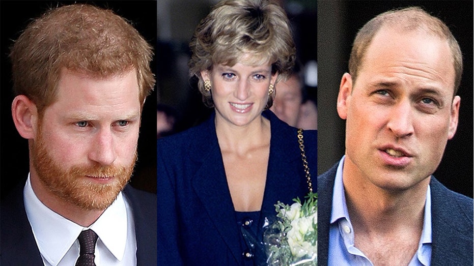 How much did Princess Diana leave behind for Prince Harry and