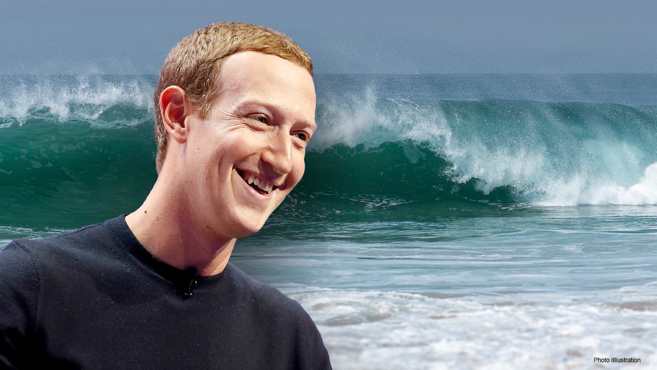Mark zuckerberg sales efoil board