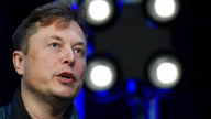 Elon Musk says population collapse could be 'greatest risk to the future of civilization'
