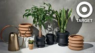 Target partners with Hilton Carter on a plant-focused home décor line