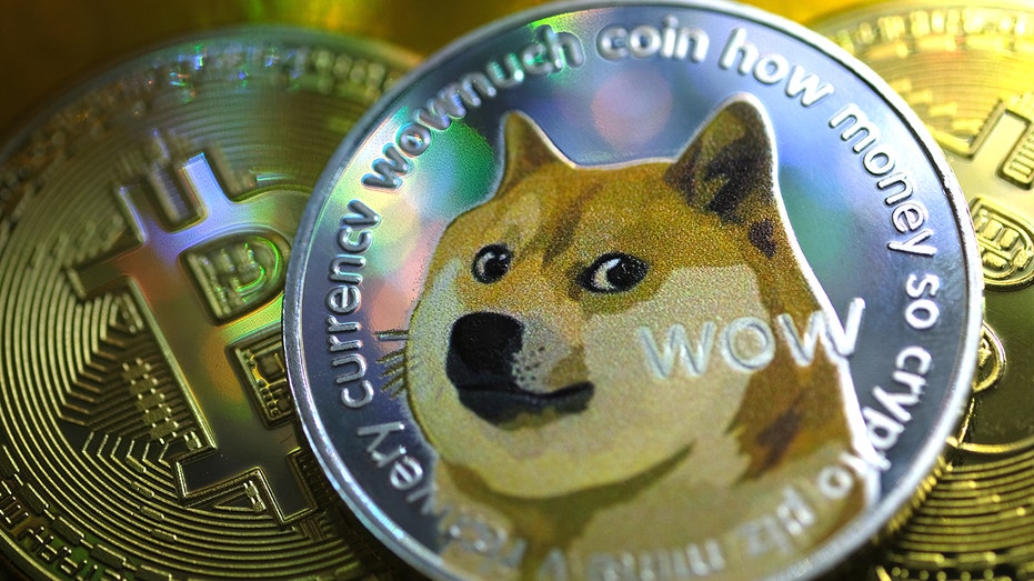 Dogecoin illustration