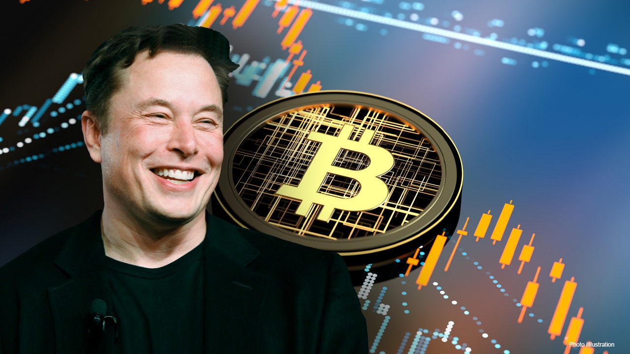 Elon Musk slammed at Bitcoin 2021 conference following tweet