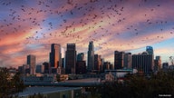 US cities with the most mosquitoes