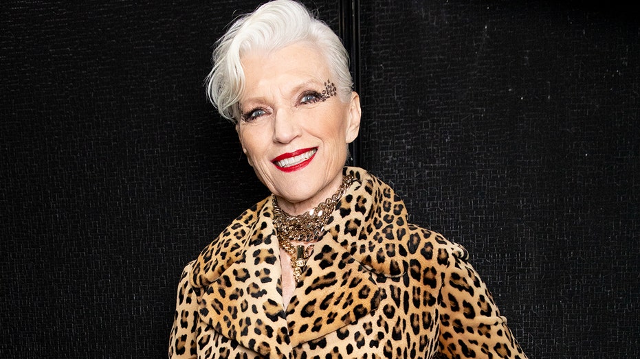 maye musk elon mom