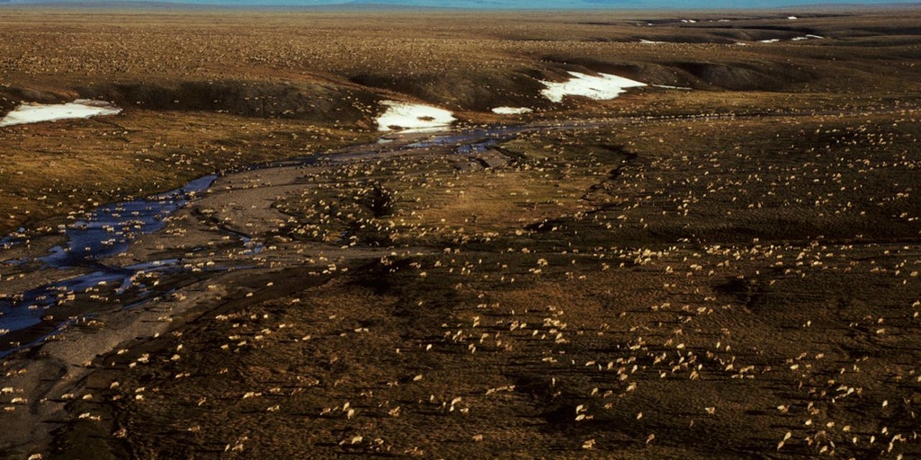 Biden suspends Alaska oil, gas leases in Arctic National Wildlife Refuge - Vimarsana News