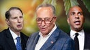 Senate Democrats unveil plan for federal marijuana legalization