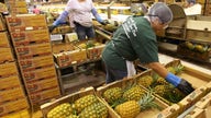 Fruit producer Dole targets $2.1 billion valuation in IPO