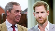 Prince Harry upcoming tell-all receives 'high level' of 'disregard' in UK: Farage
