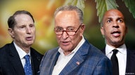 Senate Democrats unveil plan for federal marijuana legalization