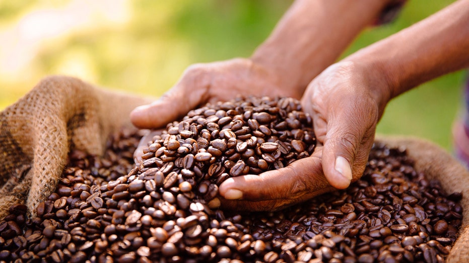 Coffee Prices Skyrocket As Demand Increases And Brazil Suffers Drought ...