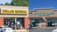 Dollar store chains are leading retail store openings in US: report