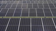 Solar panels not as green as you think as battle looms on ‘massive’ panel tariffs