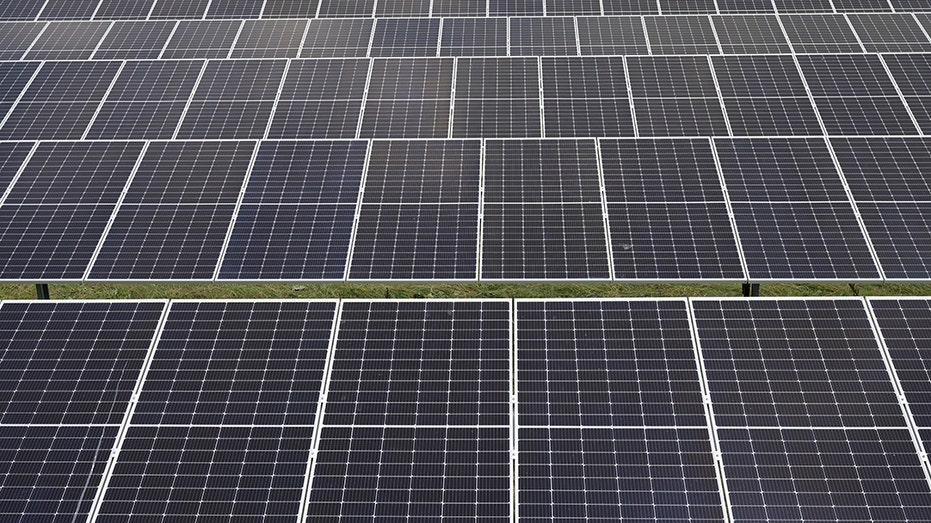 Des panneaux solaires sont photographiés dans un parc solaire à Lottorf, en Allemagne, le 30 juillet 2021. Les tarifs américains continuent sur les panneaux solaires chinois.  REUTERS/Fabian Bimmer