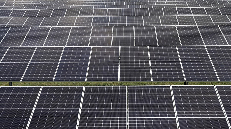 Solar panels are pictured in a solar park in Lottorf, Germany July 30, 2021. U.S. tariffs continue on Chinese solar panels. REUTERS/Fabian Bimmer