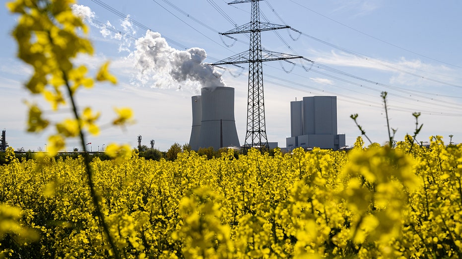 Financial firms, including British insurer Prudential, lenders Citi and HSBC and BlackRock Real Assets are devising plans to speed the closure of Asia’s coal-fired power plants in order to lower the biggest source of carbon emissions, five people with knowledge of the initiative said.